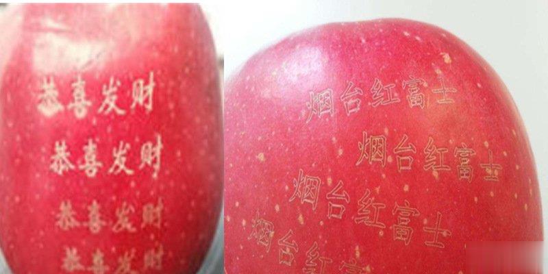 激光打标机在水果上是怎么打标的呢？